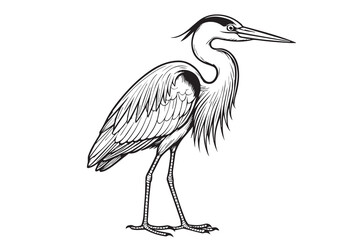 A black and white vector illustration of a graceful crane, outlined in bold black, capturing its long neck, slender legs, and elegant stance in nature.