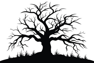 Silhouette of a bare tree and grass against a stark white background reveals intricate branch details