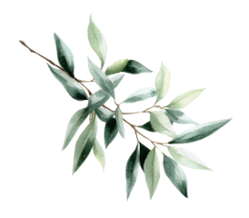 Watercolor illustration of a branch with leaves (1)