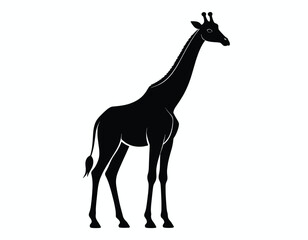Simple Silhouette Standing Giraffe Mammal Wildlife Animal Tall Detailed Illustration