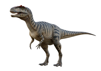 t rex isolated on white