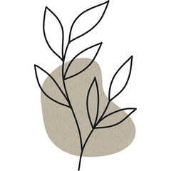 Minimalist botanical line art with beige abstract shape background creating calm mood