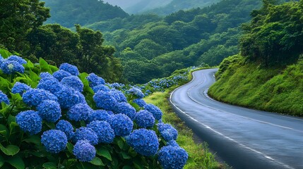 Vibrant Blue Hydrangeas Line Winding Road Mountain Landscape