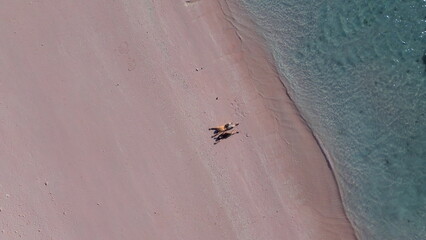a couple sunbathing on the beach