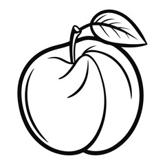 Perfection Apricot Fruit – Line Art Vector Illustration on White Background
