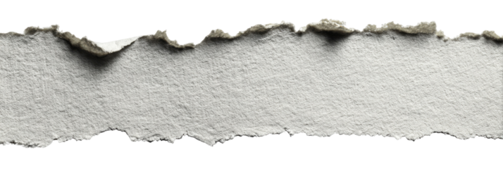 Torn paper strip, light gray