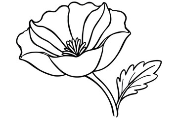 Obraz premium Simple line art shows a blooming poppy flower and single leaf on white
