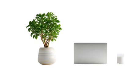 office plant in ceramic pot beside closed laptop, workspace aesthetic, white background