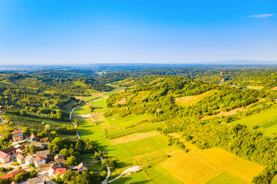 Picturesque vineyards in Plesivica in Croatia, popular Croatian wine region, idyllic landscape