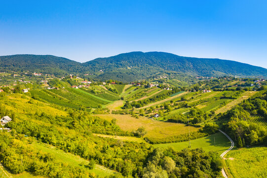 Panoramic view of picturesque vineyards in Plesivica in Croatia, amazing Croatian wine region, idyllic landscape 