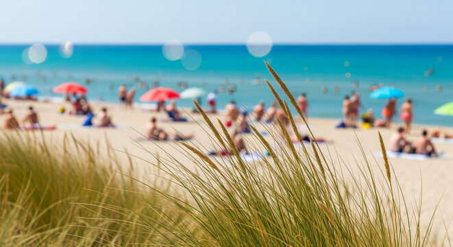A Crowded Beach Day