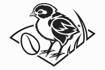 Chick and egg illustration isolated on white background