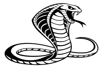 Fototapeta premium Venomous cobra snake with hood isolated on white background