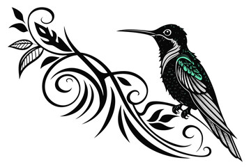 Obraz premium Hummingbird perched on a floral branch isolated on white background