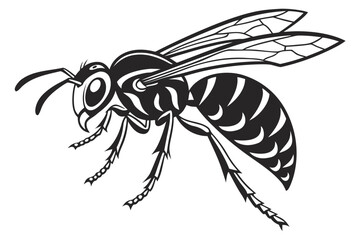 Obraz premium Detailed illustration of a wasp in flight isolated on white background