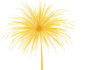 Fototapeta premium Golden radiating firework burst