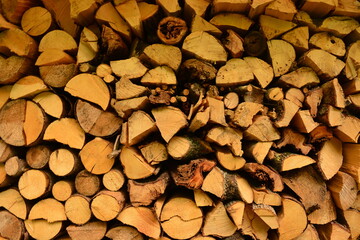 stack of firewood