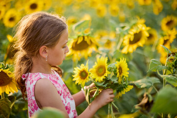 Naklejka premium a little girl enjoys a field of blooming sunflowers on a summer day