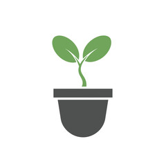 Simple graphic of a small plant in a dark gray pot against a white background.