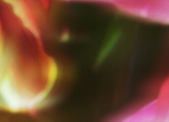 Bloom Haze - Dreamy Floral Blur