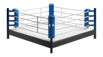 Raised boxing ring with canvas cover and corner pads for sparring sessions