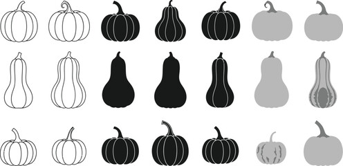 Fototapeta premium Three rows of pumpkin and butternut squash illustrations in grayscale