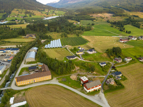 Aerial view of golden fields meeting emerald hillsides and scattered buildings, all nestled beneath the watchful gaze of distant, snow-capped peaks, Innvik, Vestland, Norway.
