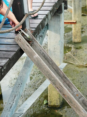 Nature Conservation Center and Mangrove Conservation Center the longest in Thailand at Samet district, Chonburi Province.	
