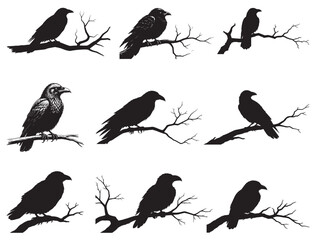 CROW SITTING ON BRANCH SILHOUETTE