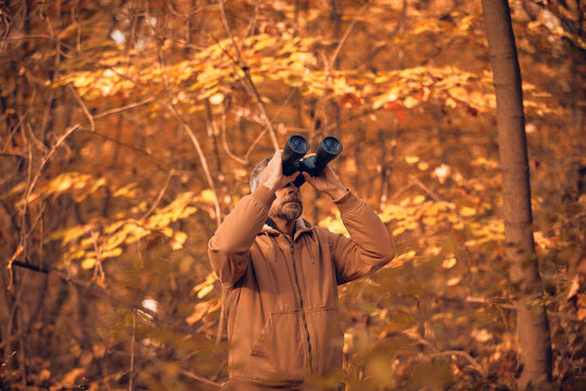 Amateur birdwatcher observing birds and other animals in nature with binoculars. - Powered by Adobe