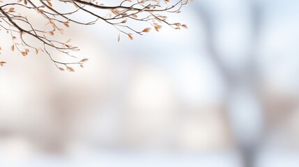 Obraz premium Soft-focus winter scene with delicate branches, subtle leaves, and blurred background creating a serene atmosphere