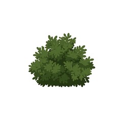 Fototapeta premium Cartoon Green Bush Isolated on White Background