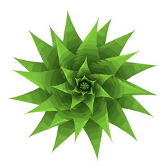 Abstract Green Spiral Form with Geometric Leaves