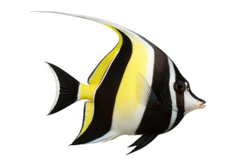 Fototapeta premium Moorish idol tropical fish with striking black, white, and yellow stripes, isolated on transparent background. Elegant marine species known for its long dorsal fin and vibrant colors, perfect for aqua