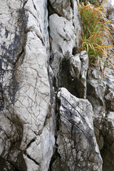 日本周遊　和歌山県白崎海岸の白い岩肌