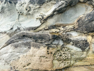 Eroded Sandstone Texture