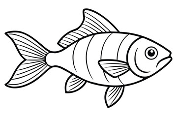 Detailed outline of a striped fish featuring prominent fins and tail on white