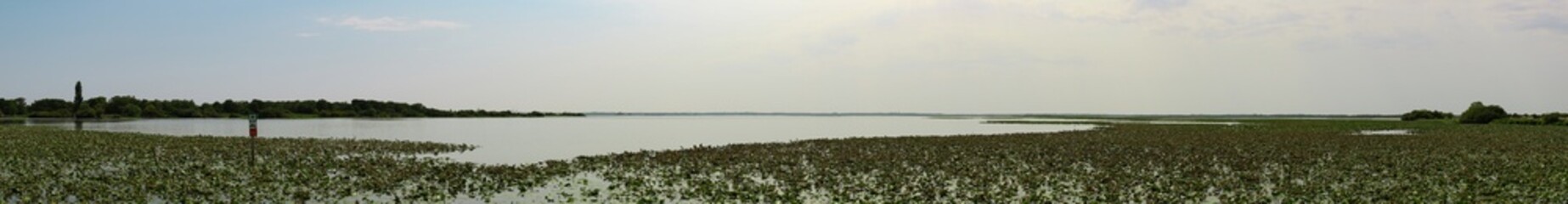 Lac de Grand-Lieu en Loire Atlantique France. R&eacute;serve naturelle.