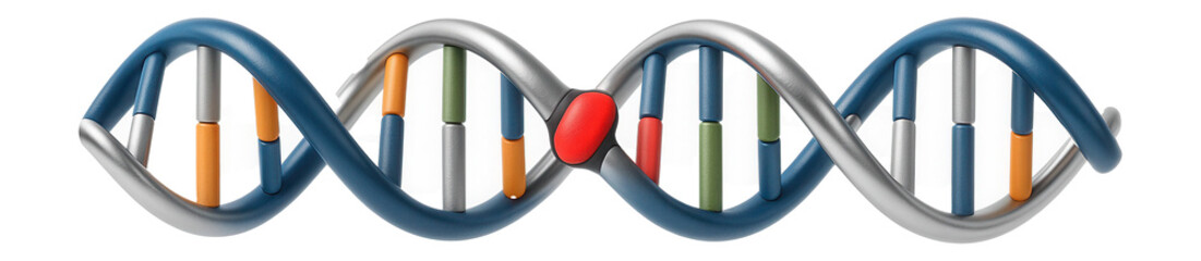 Depiction of a SNP (single nucleotide polymorphism) on a DNA sequence