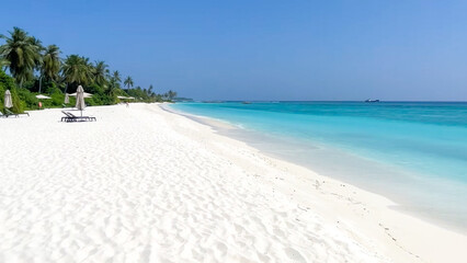 tropical beach with palm trees