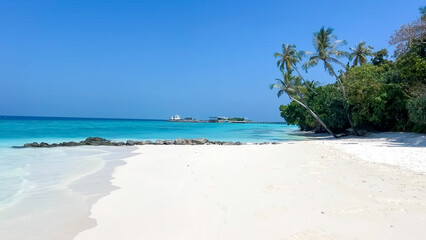 tropical beach with palm trees