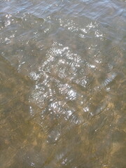 A panoramic background of the transparent water surface of the Dnieper above a clean sandy bottom, decorated with sunbeams sparkling on small waves.