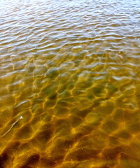 A panoramic background of the transparent water surface of the Dnieper above a clean sandy bottom, decorated with sunbeams sparkling on small waves.