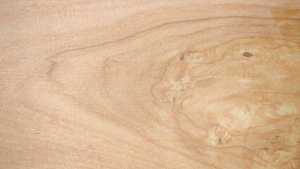 Natural Wood Grain Texture Close-Up