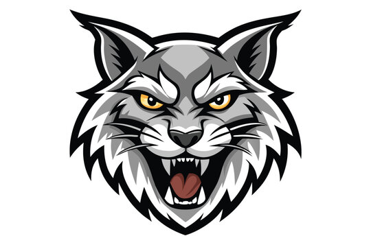 Angry bobcat displaying open mouth with sharp teeth isolated on a white background