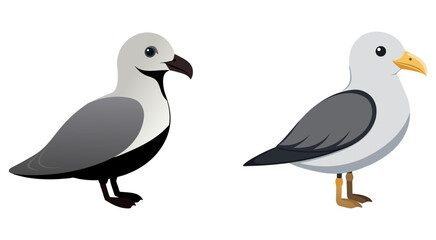 Fototapeta premium Set of fulmar bird vector illustration design