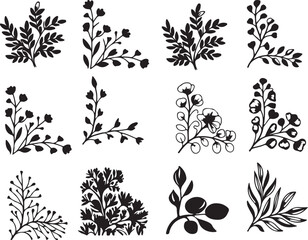 Set of Black and White Silhouette Floral Branches and Leaves - Vector Illustrations
