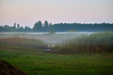 misty morning in the countryside