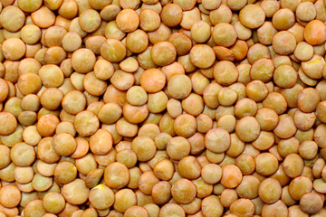 Lentils are small brown legumes rich in protein and fiber