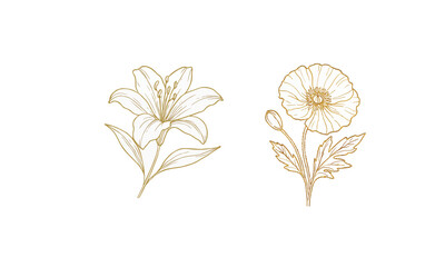 Gold Flower hand drawn vector